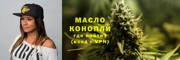 молекула духа Няндома