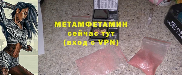 сатива Балахна