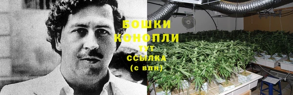 сатива Балахна