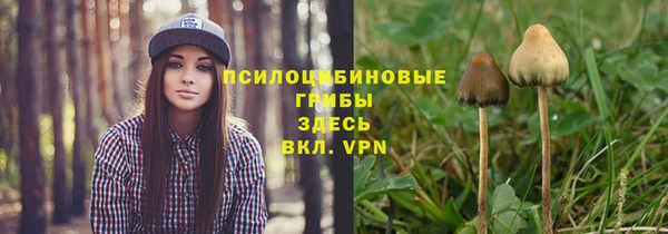 сатива Балахна