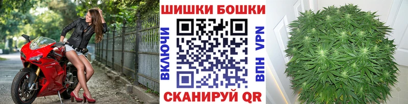 Шишки марихуана OG Kush  Свирск 